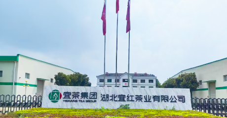 宜红茶业