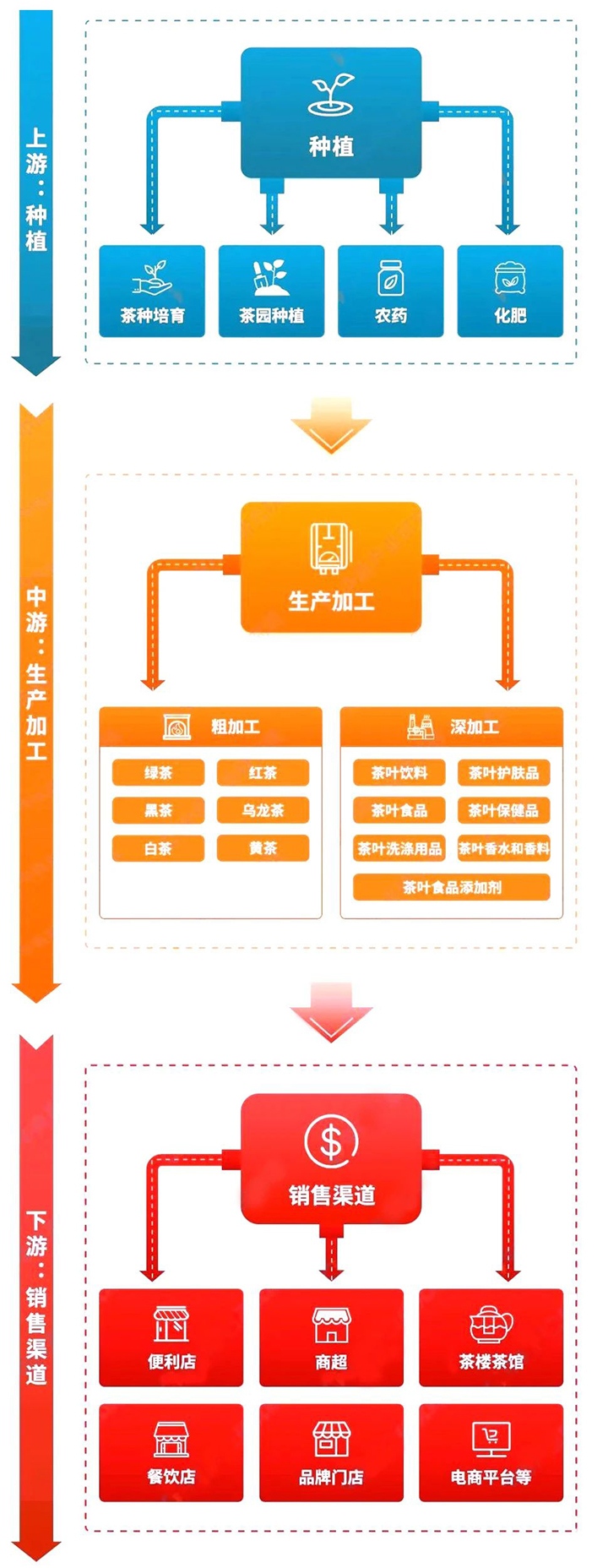 2-1      茶产业链条的上、中、下游       .jpg