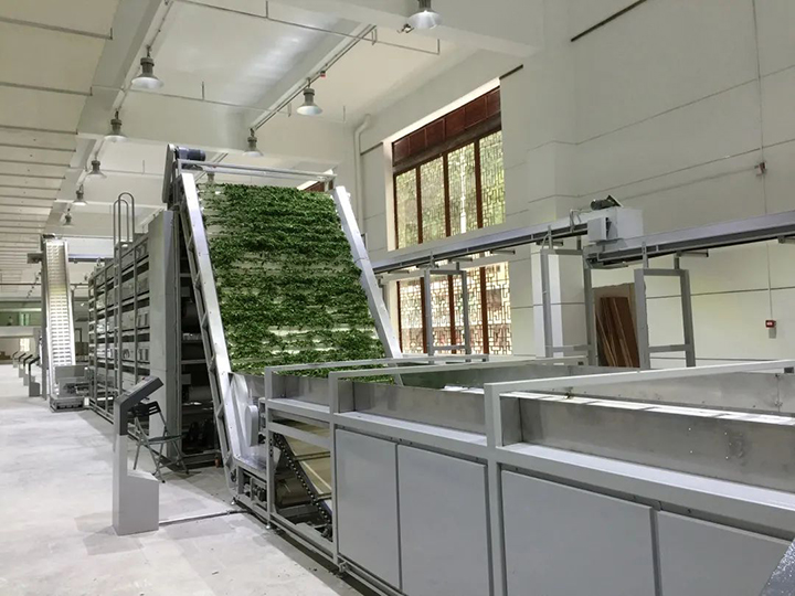 数字茶业我国茶业装备数字化现状及路径分析