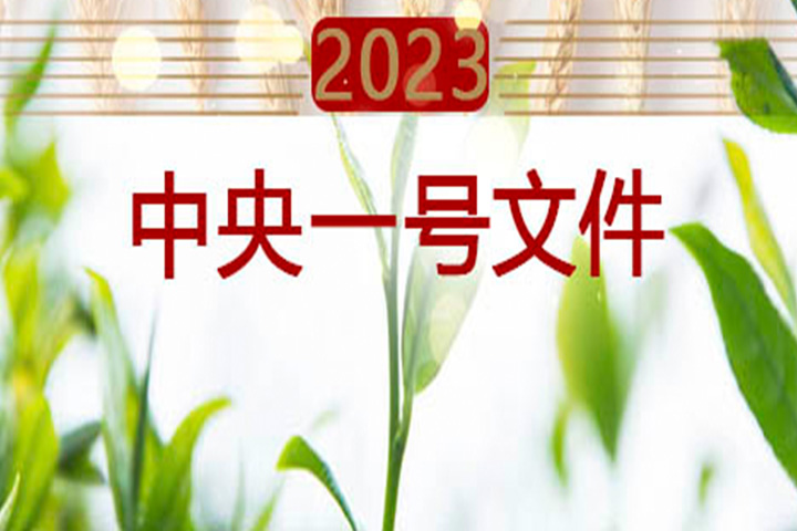 2023? 中央一号文件中的“茶”讯息