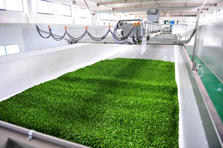 720  自动化生产线(1).jpg