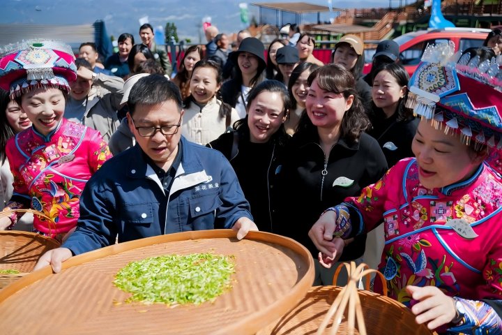 720  采花春茶开园.jpg