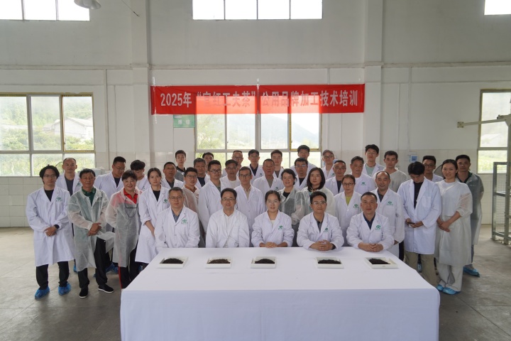 2025年宜红工夫茶公用品牌加工技术培训在五峰县举办