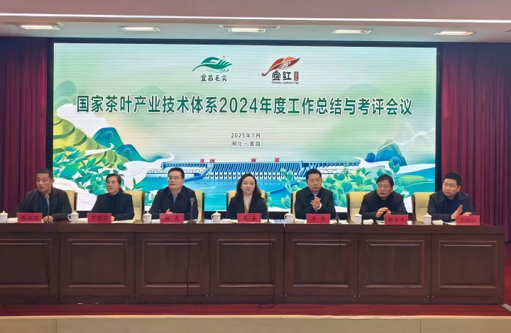 国家体系会议  720.jpg