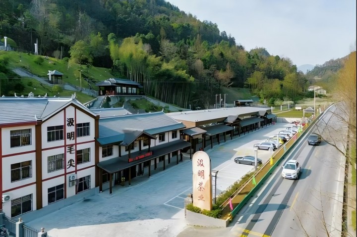 720  汲明茶叶.jpg