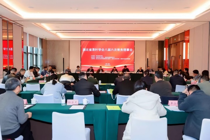 “宜茶模式”获茶界认可，湖北茶产业迎来发展新引擎