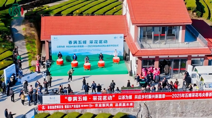 720-1   宜茶集团举办采花毛尖春茶开园活动(1).jpg