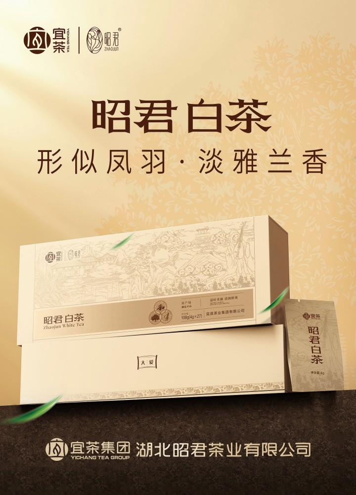 720  昭君白茶.jpg