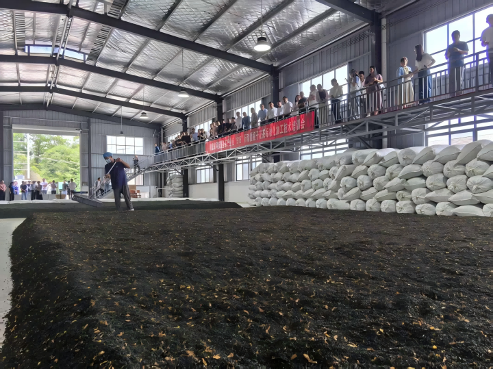 省科技服务茶产业链“515”行动暨栀子花茶标准化加工技术培训会成功举办