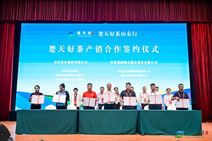 “宜昌茶”北上拓市结硕果——“楚天好茶山东行”系列推介活动侧记