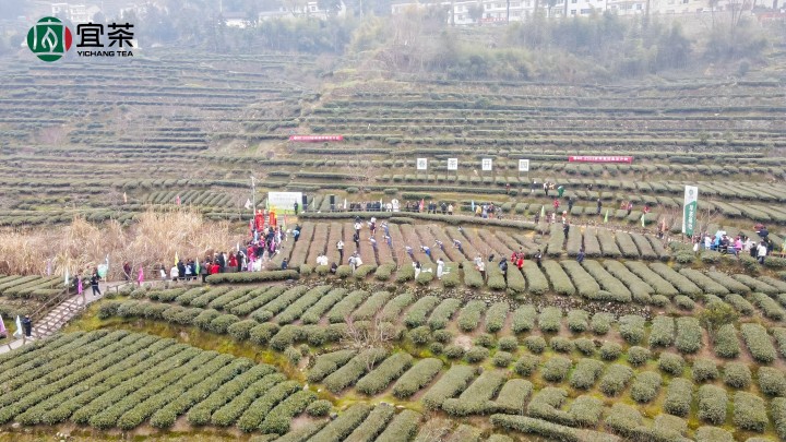 720   修改规格：1  开园现场.jpg