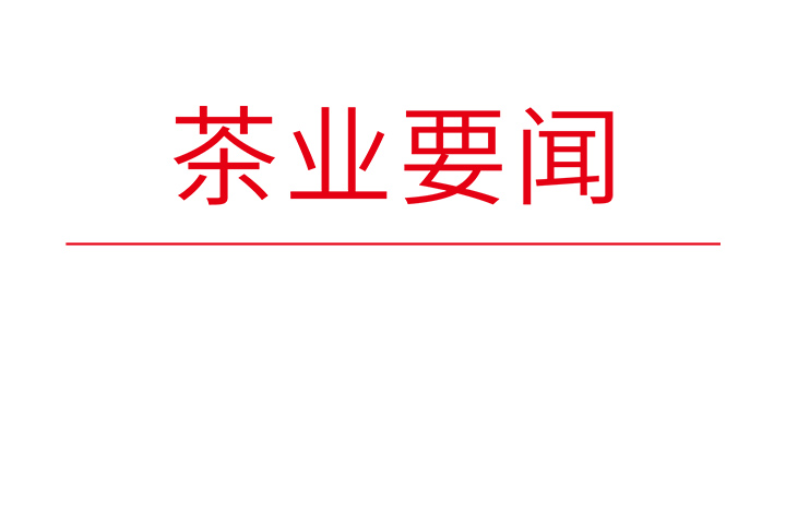 马泽江在研究茶叶品牌建设工作专题会上强调 加快打造高品质有口碑的“金字招牌”