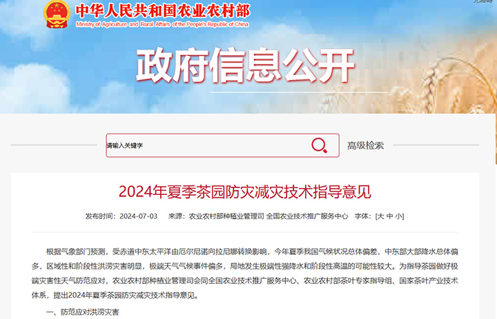 2024年夏季茶园防灾减灾技术指导意见