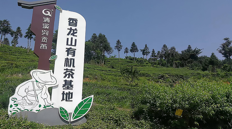 清溪沟茶业荣誉