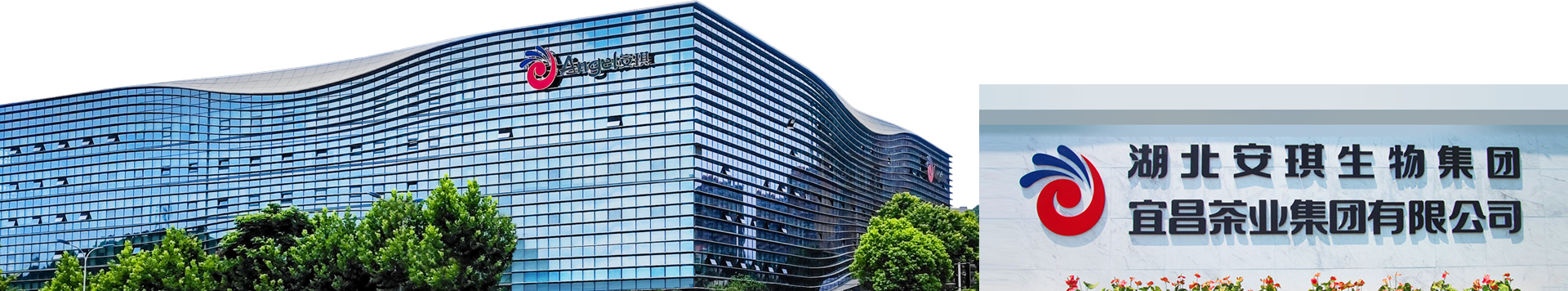 COMPANY INTRODUCTION 